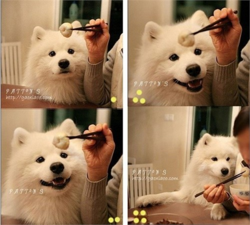 Ảnh của Cướp cũng bó tay :D