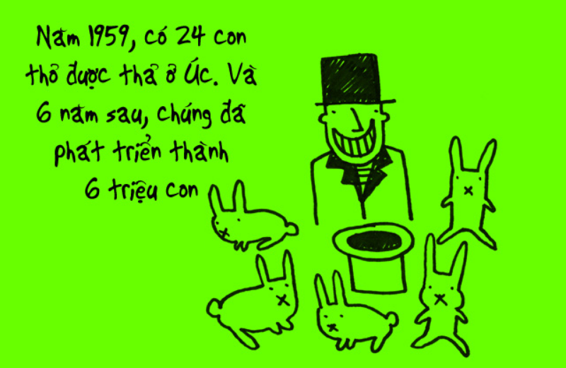 Ảnh của Fun facts động vật khiến teen "phát cuồng vì bất ngờ"