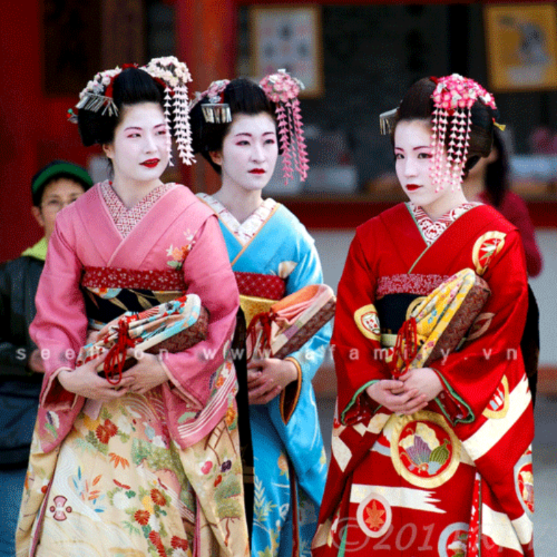 Ảnh của Đào tạo geisha làm du lịch