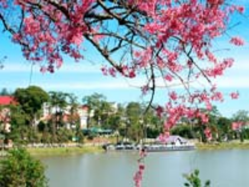 Ảnh của Cuối tuần... "phượt"