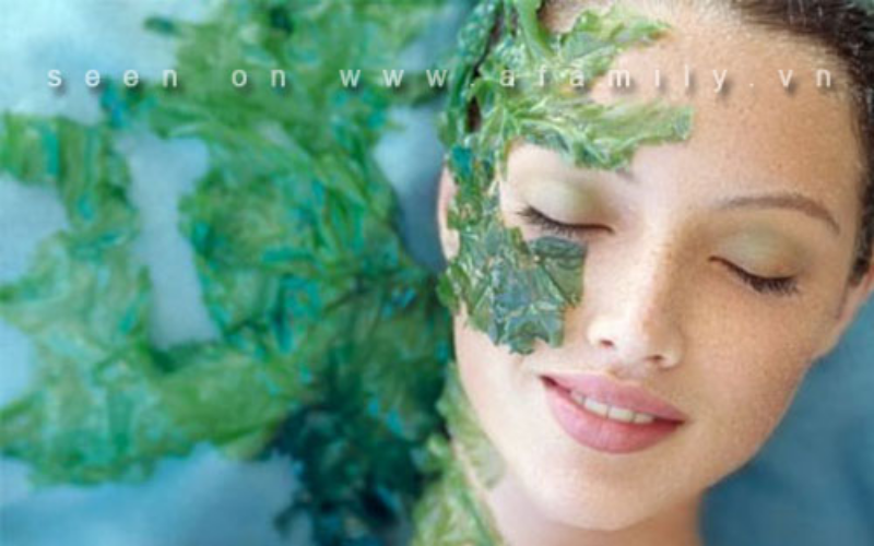 Ảnh của Lý do thực phẩm chức năng từ tảo Spirulina rất được ưa chuộng