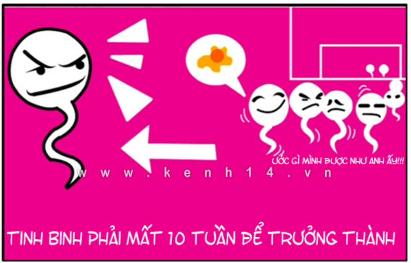 Ảnh của Lộ tẩy những sự thật siêu funny của những chú tinh binh