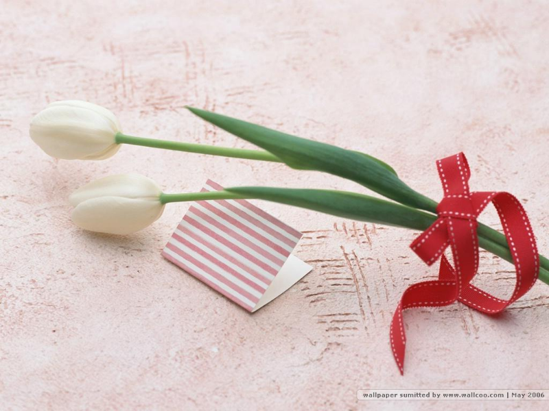 Ảnh của Vì em là một con què!