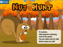 Nut Hunt
